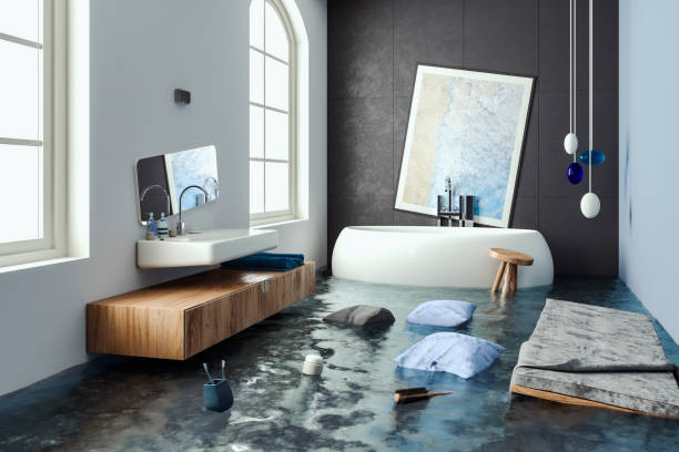 Best Residential water damage restoration  in Sheridan, IL
