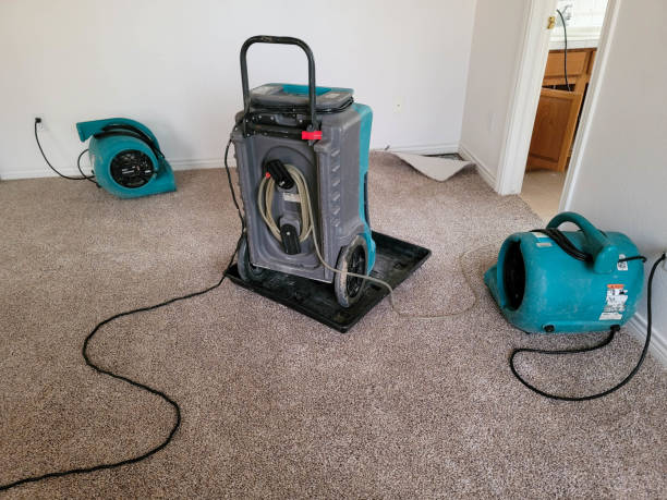Best Local water damage restoration  in Sheridan, IL